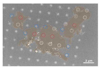 Electron micrograph of a 2D material flake with an array of SECCM measurement spots