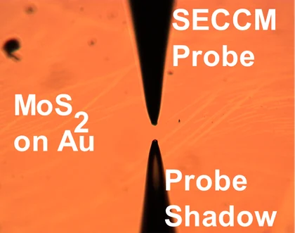 Optical image of an SECCM probe and its shadow above a MoS2 flake on gold